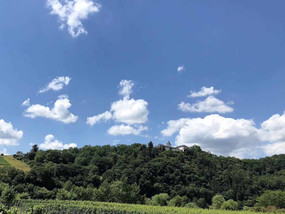 Ferienhaus Moselpromenade Zell an der Mosel Luaran gambar